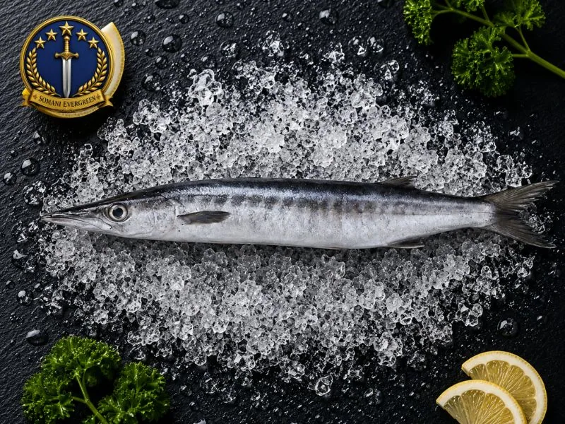 White Barracuda (Safaid Kund)