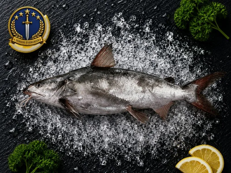 Catfish (Khagga) fish